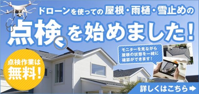 ドローン点検