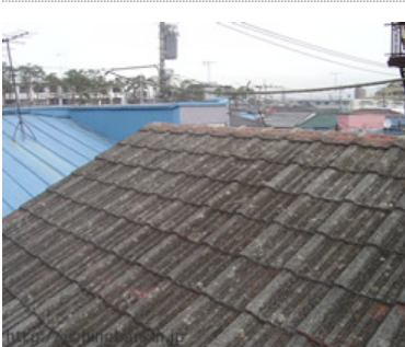 瓦屋根からの雨漏り修理事例